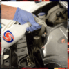 AUTOSMART FINISH INTERIOR & EXTERIOR DRESSING