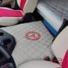 Mercedes Truck Floor Mats