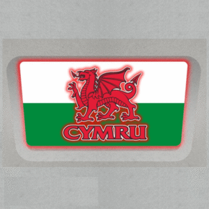 CMYRU Scania Infill Panel Truck Light Board by TLD